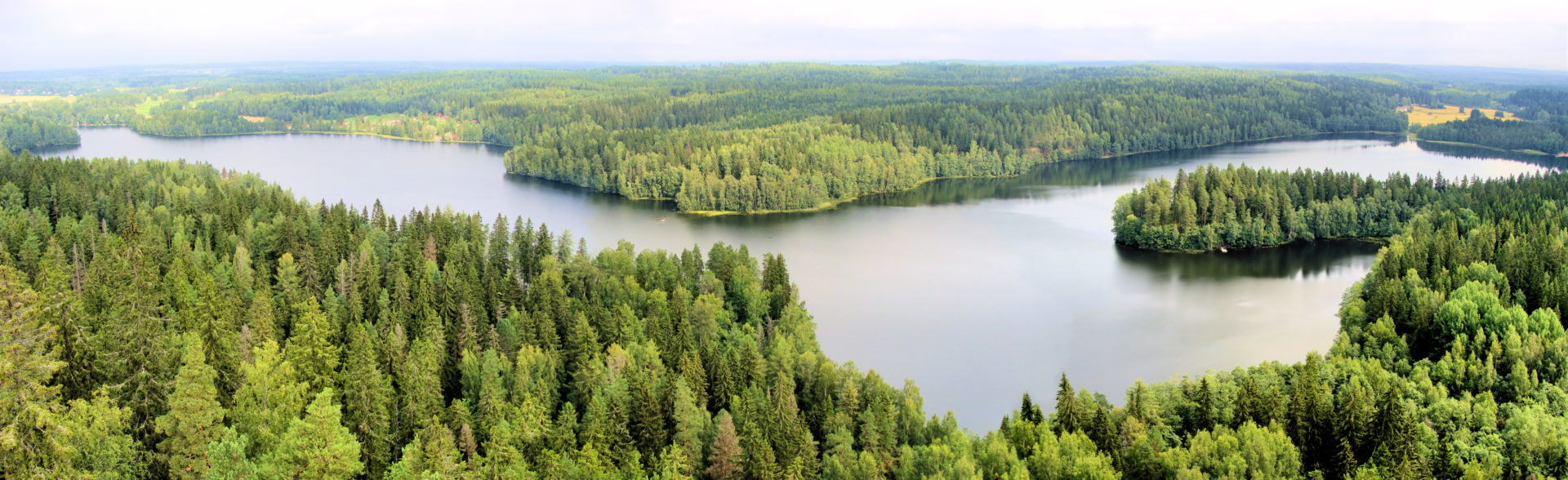 Kaikki palvelut metsänomistajalle | Suomen MetsätKuntoon
