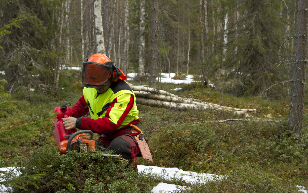 Metsuritöiden aloitus: Turvallisuus ja tehokkuus työmaalla.